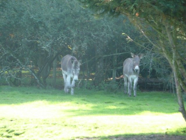 Balthazar et leonard Arrivee (1).jpg